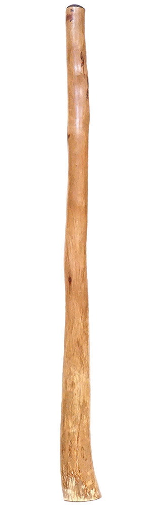 Large Jesse Lethbridge Didgeridoo (4845). Seen at [DidgeridooBreath.com](https://www.didgeridoobreath.com/Large-Jesse-Lethbridge-Didgeridoo-4845-p/d-575-4845.htm)